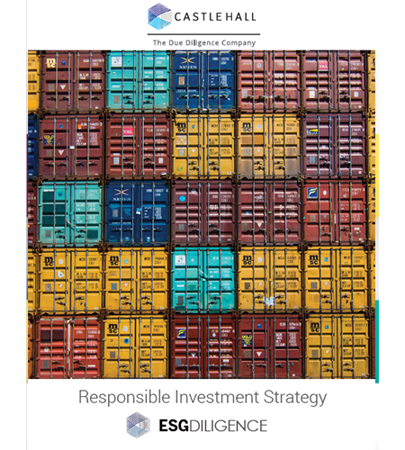 RIS - White Paper
