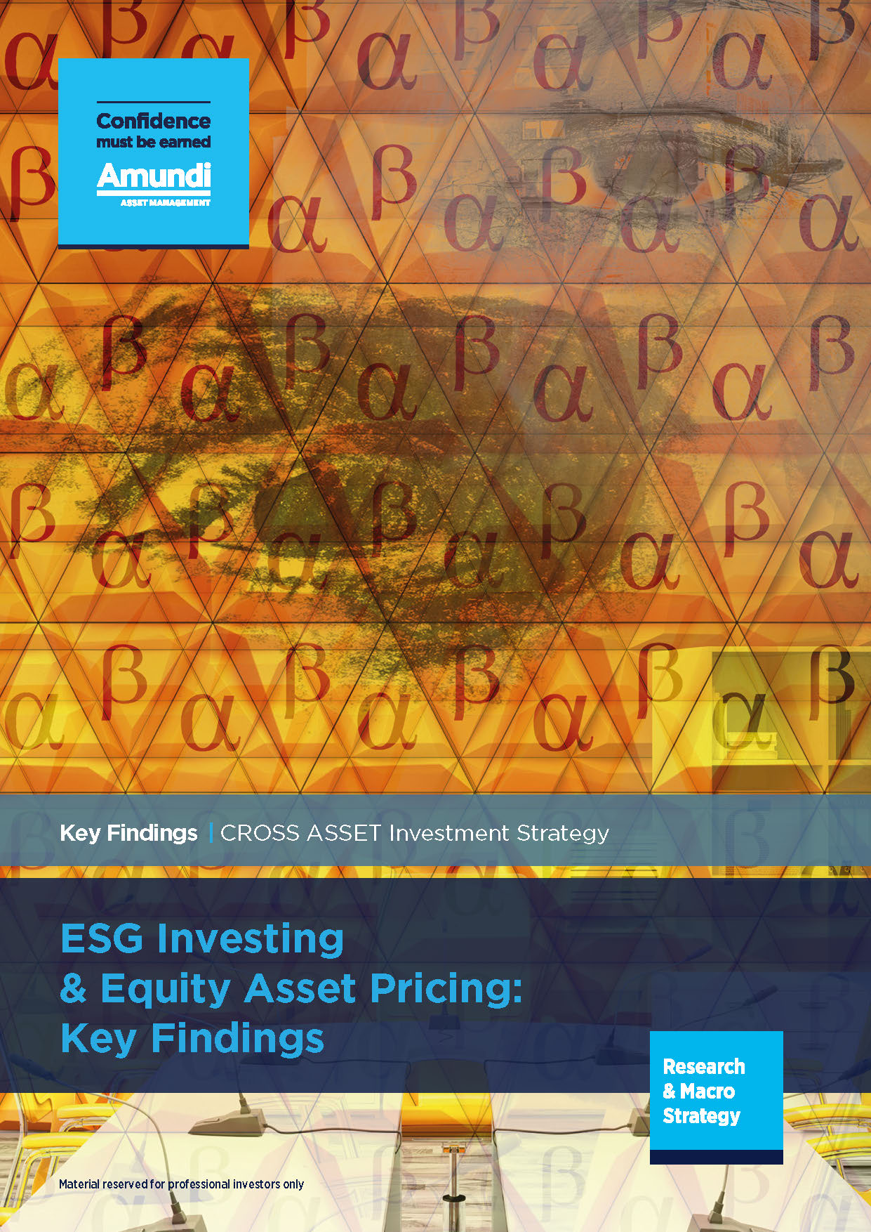 Pages from 2019.01 - ESG investing and equity asset princing_ key findings - EN