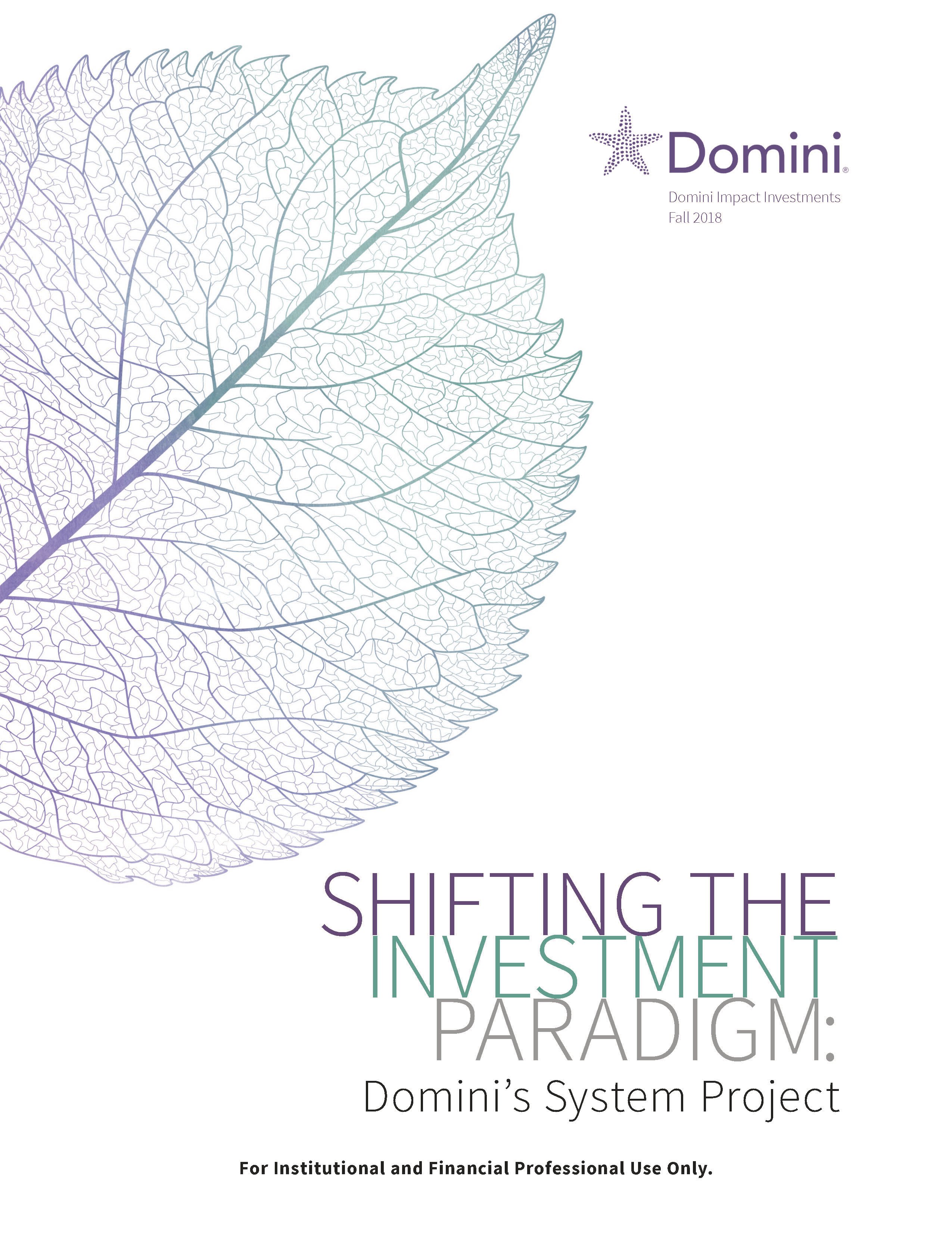 Pages from Domini-Impact-Investments_Shifting-the-Investment-Paradigm