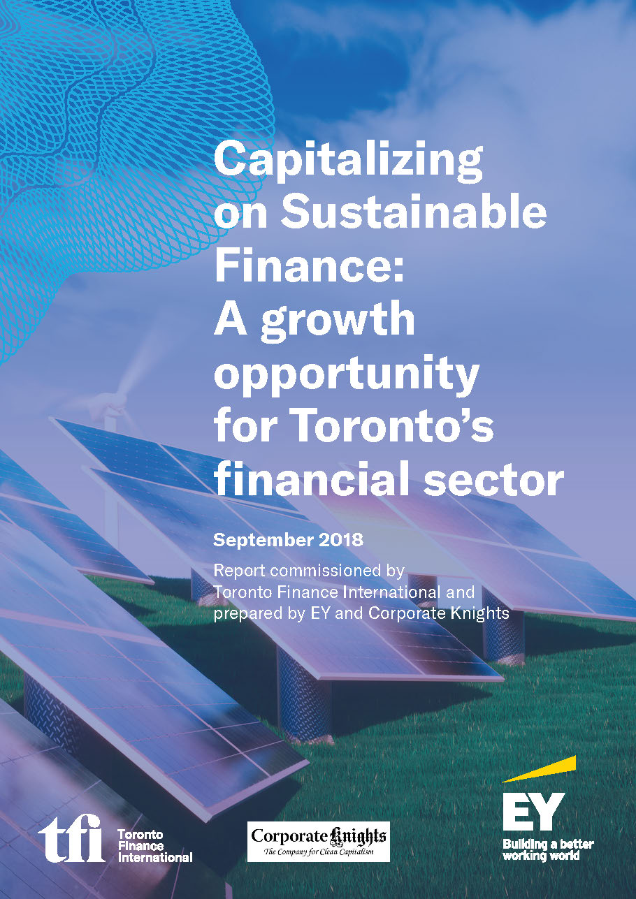 Pages from TFI_Sustainable Finance_Final Report (16.09.2018)